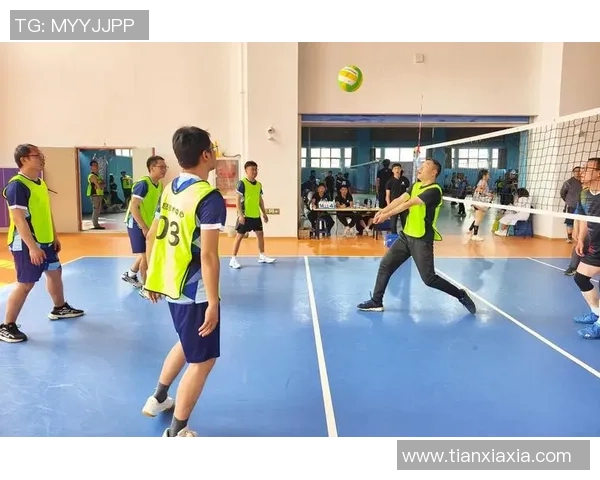 排球盛宴：深入解析上海排球队的战术与技术之美